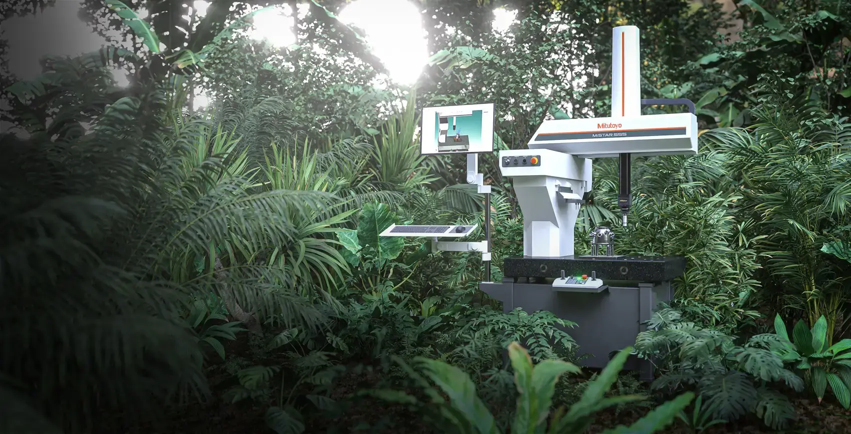 rainforest-new